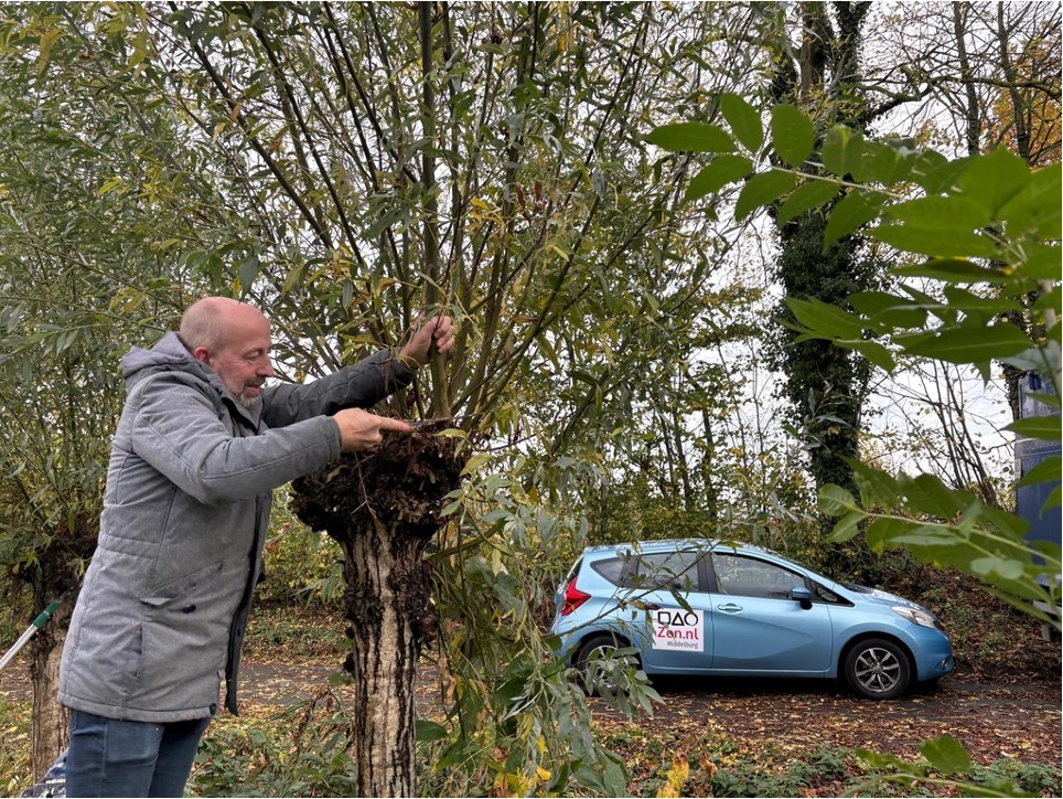 Zen.nl, Zen, meditatie, leren mediteren, boomplantdag, Tommy Wieringa, boom, vertrouwen, toekomst, Zen.nl Middelburg, aandacht, natuur
